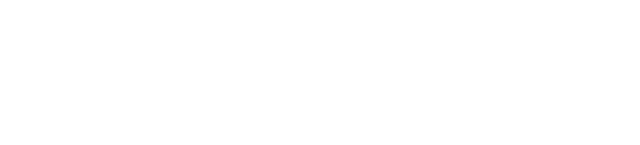 Alacrity E-Commerce Solutions